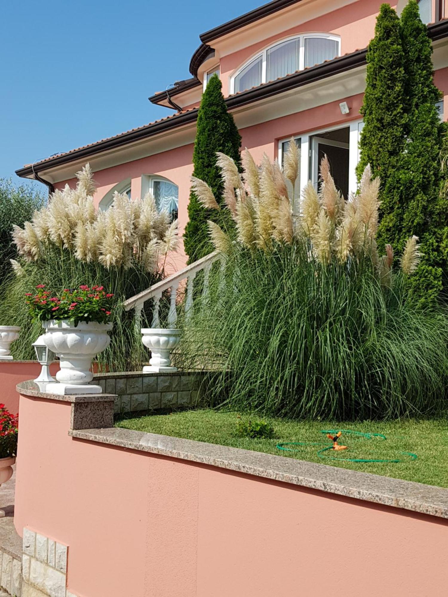 Apartments And Rooms Villa Chiara Krnica Exteriör bild