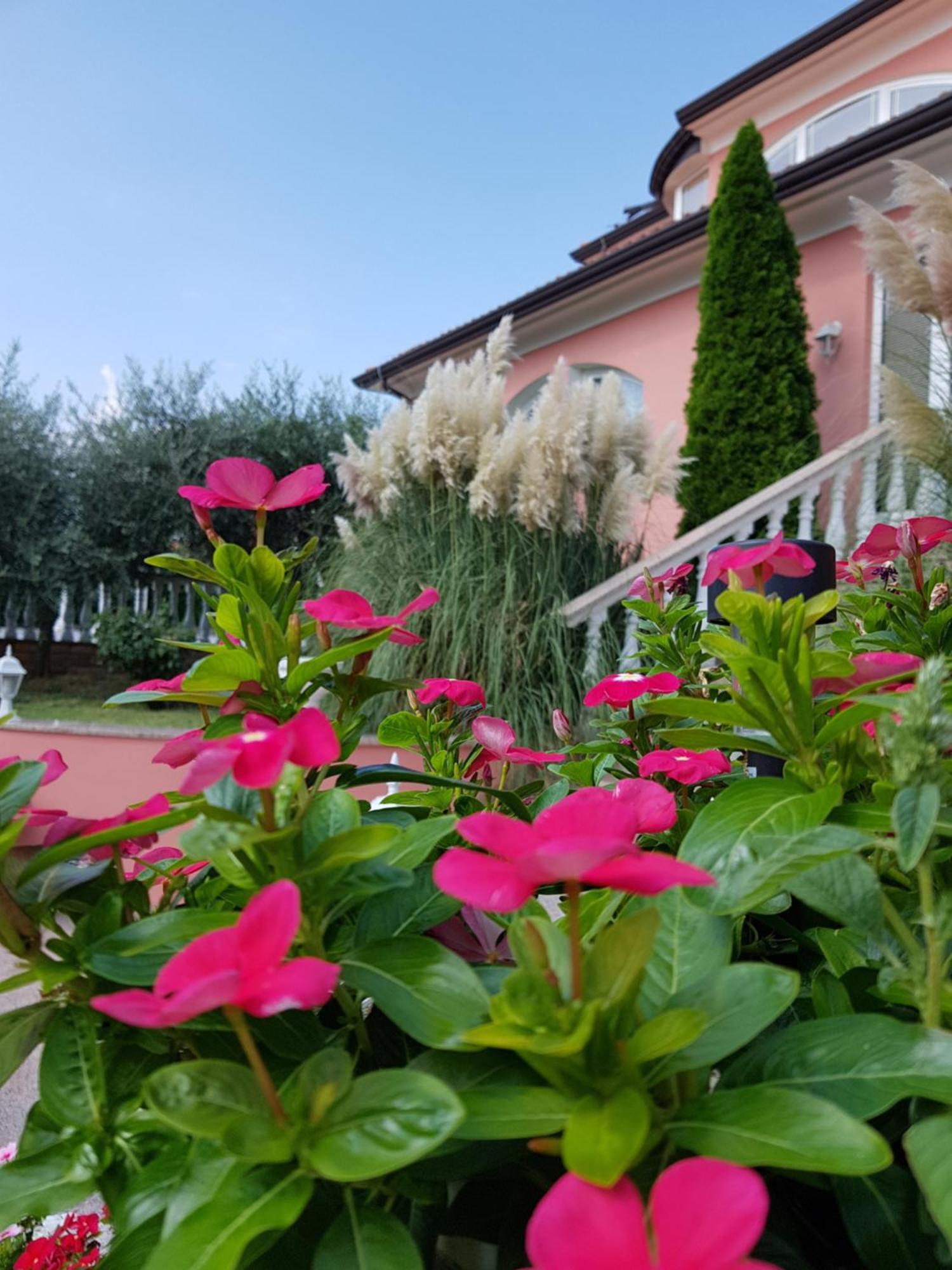 Apartments And Rooms Villa Chiara Krnica Exteriör bild